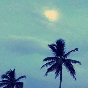 Meet your Posher, Brooklyn